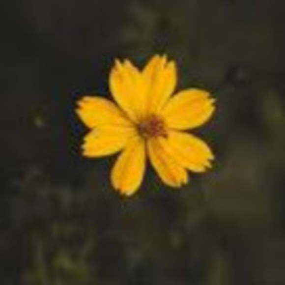 Meet your Posher, Jordan - Picture 1 of 1